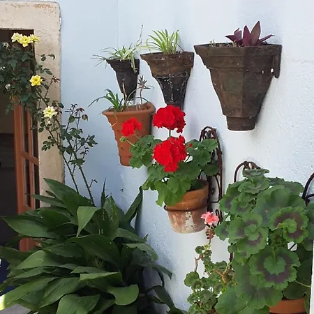 Rua Das Rosas 22/b&b